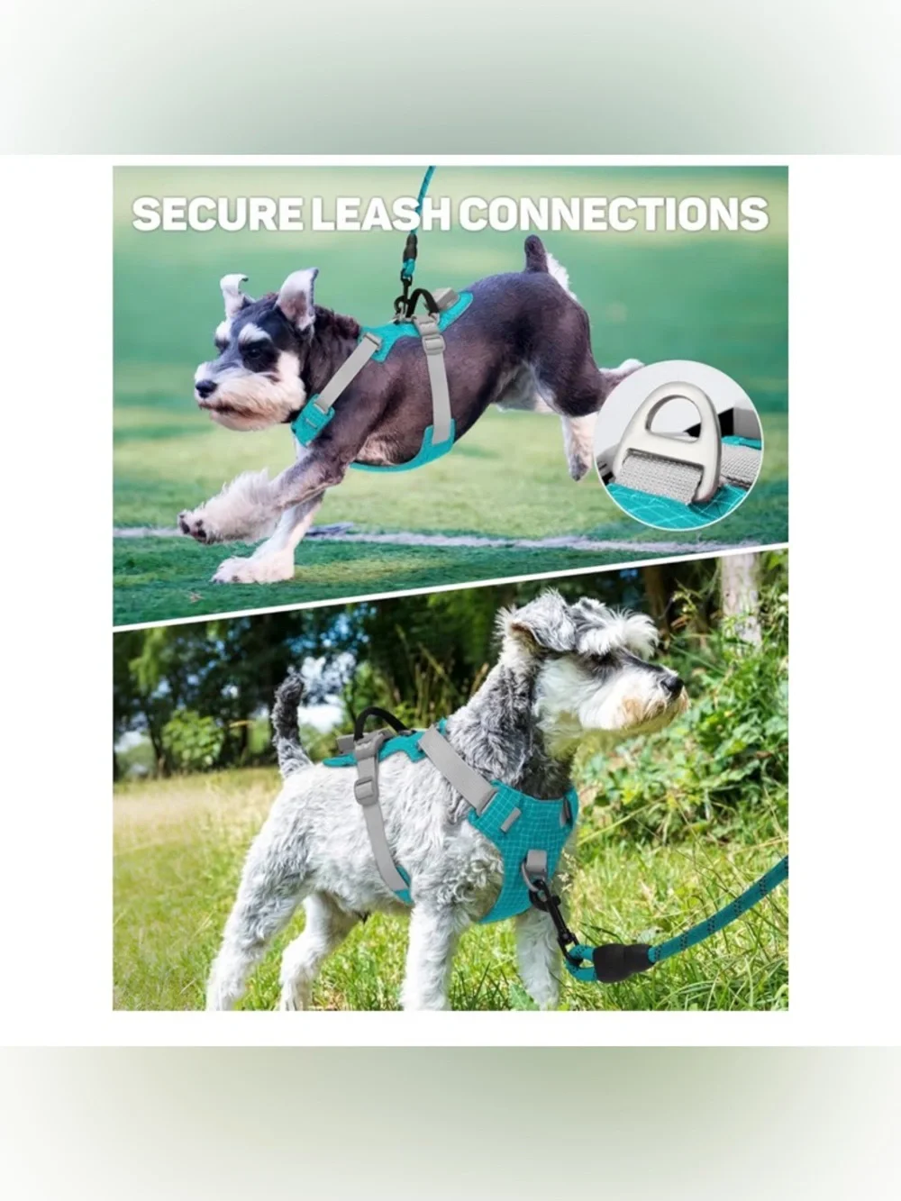TagME Light Up Dog Harness